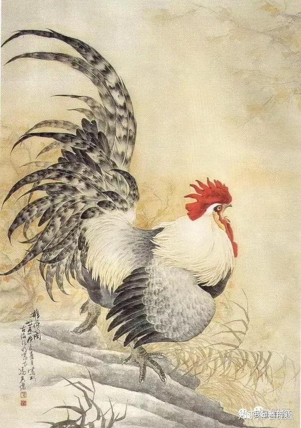 芦花鸡的尾上复羽 先以淡墨画出,逐步加重染成.