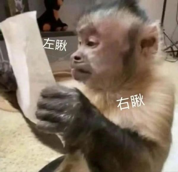 表情包:打工猴表情包 - 知乎