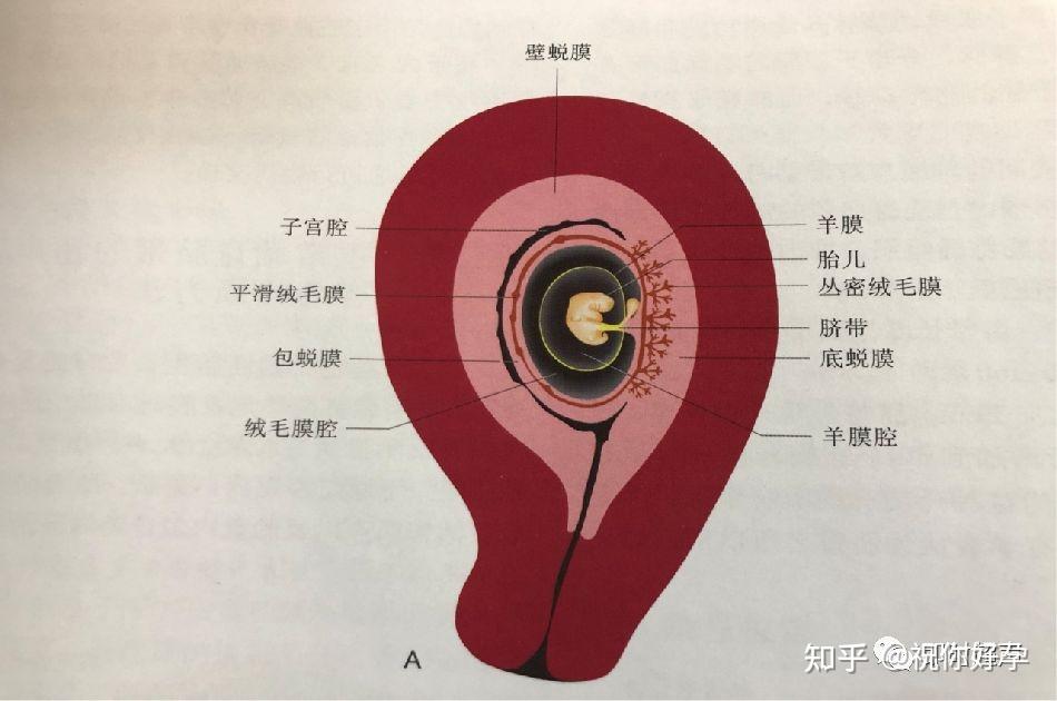 玉女情挑
