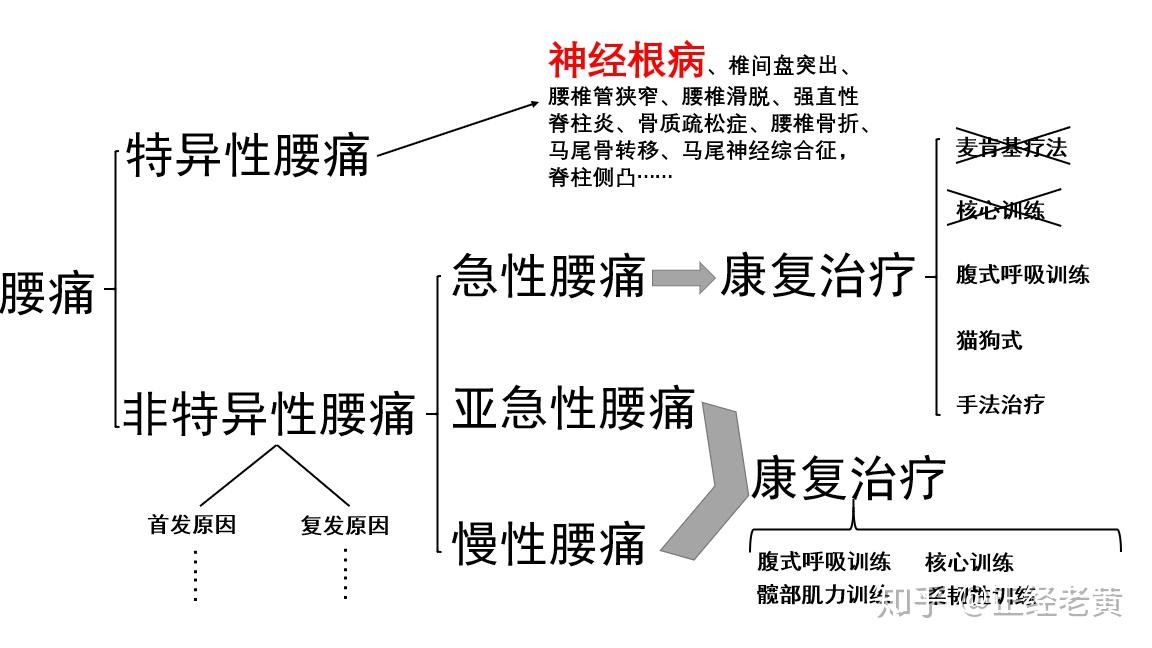 第五期——神经根型腰椎病康复治疗