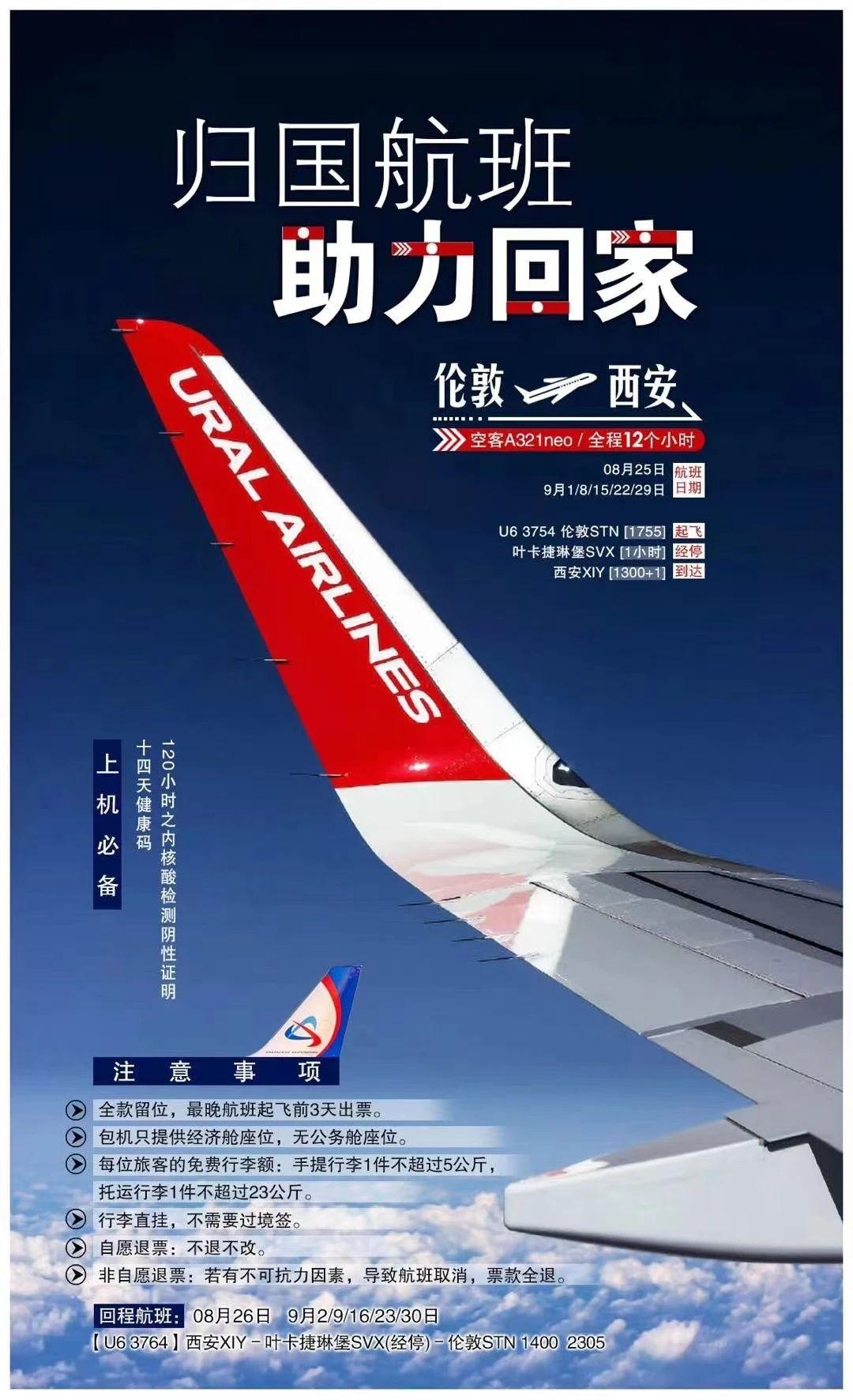 怎样才能买到回国机票 知乎