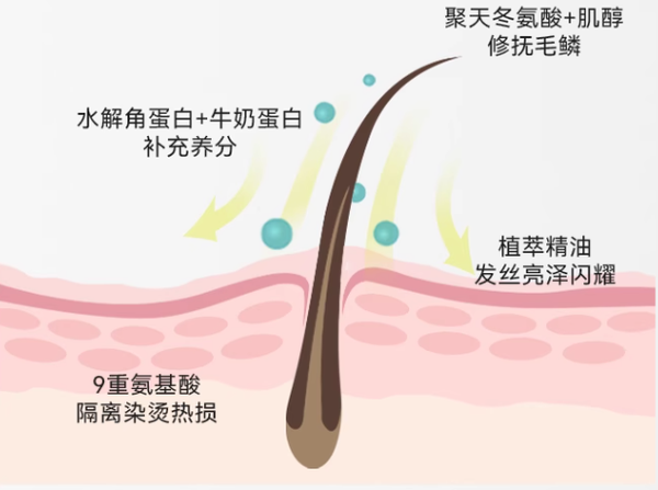 你是不是头发干枯毛糙、枯黄分叉?专业配方师教你3分钟学会挑选【发膜】,直接抚顺毛鳞、弹韧发丝、还你柔顺亮泽的秀发 - 知乎