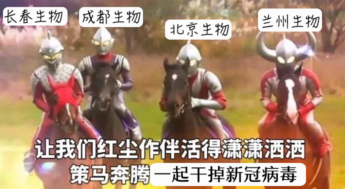 企足而待是什么生肖打一个生肖动物，权威解释来了