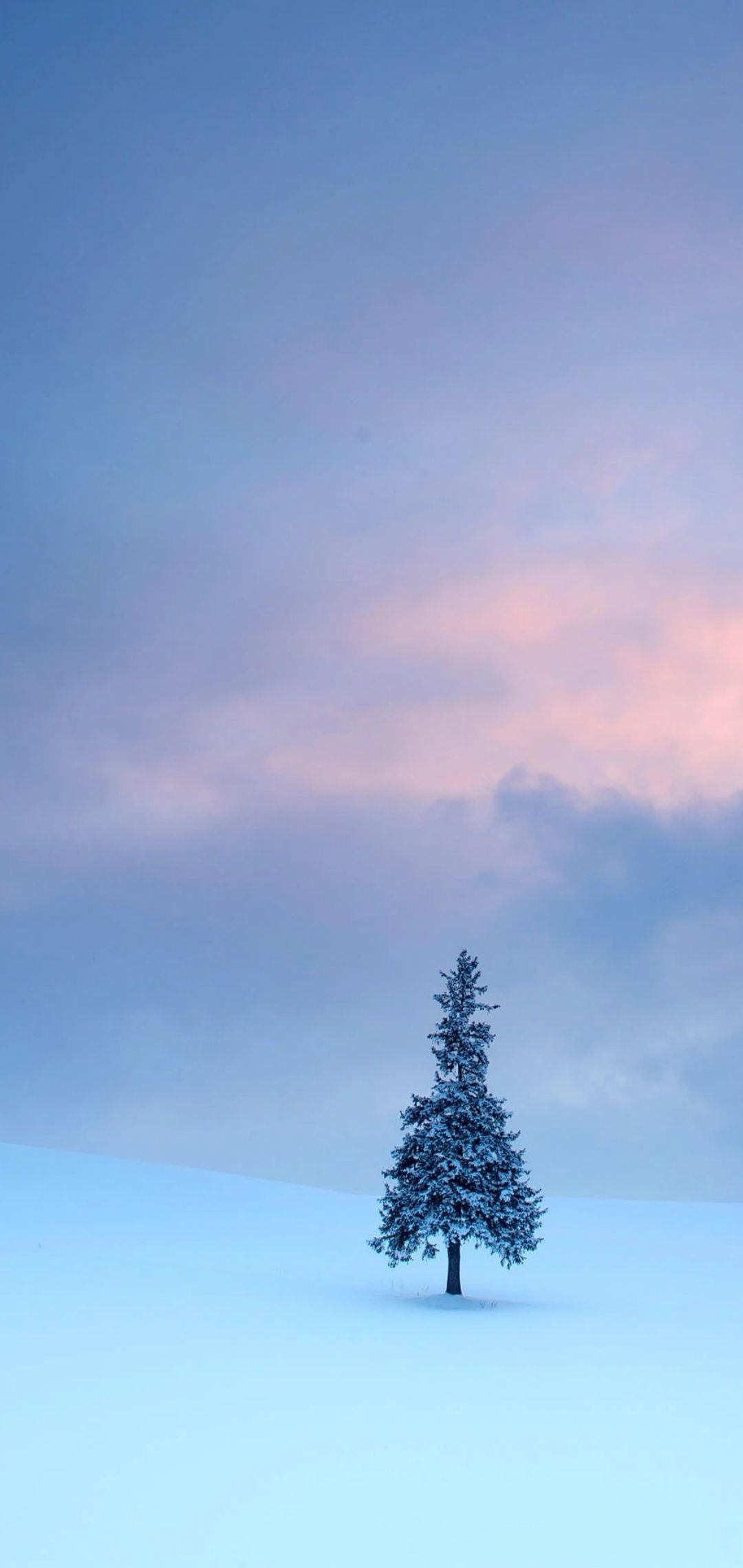 1080_2280竖版 竖屏