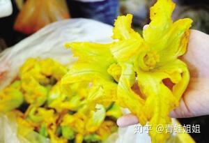 可以吃的南瓜花 知乎