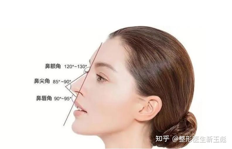 怎样的鼻背才算好看? - 知乎