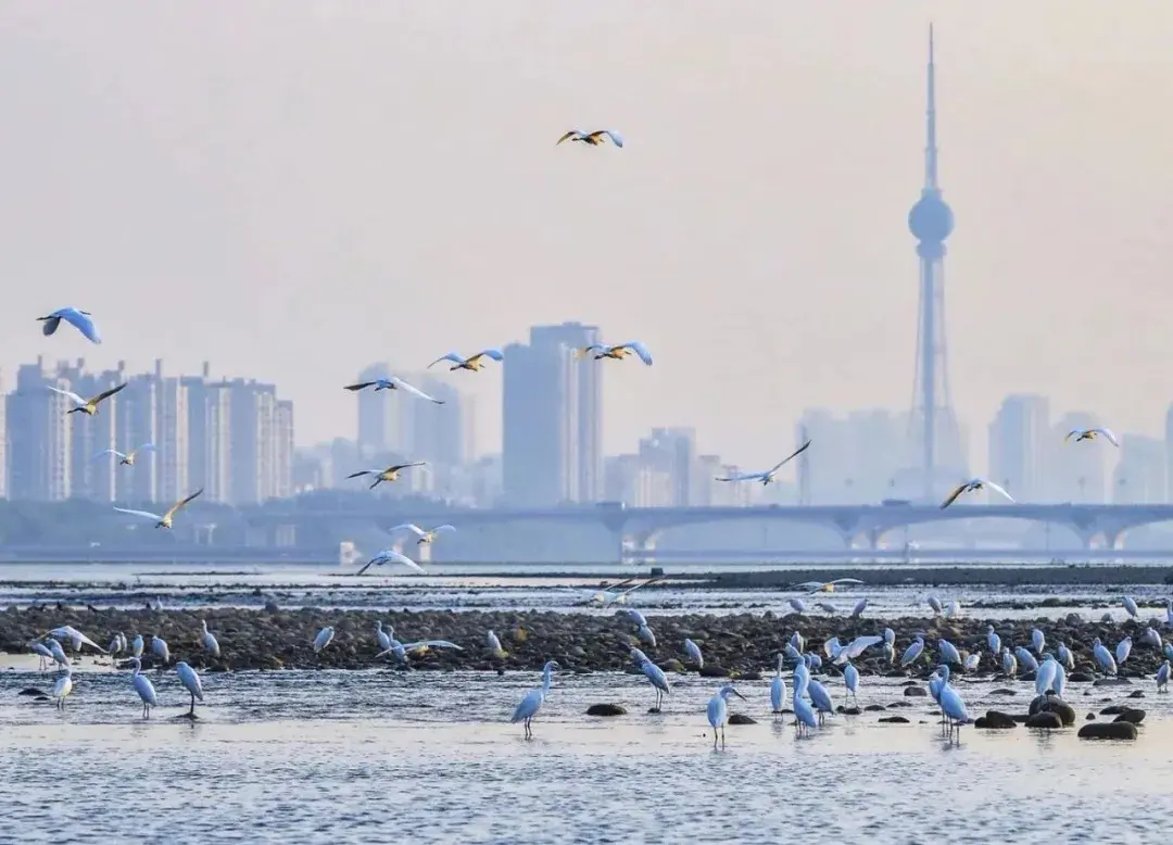 5分钟读懂城市系列之三:洛阳,千年古都,东方丝绸之路的起点 - 知乎