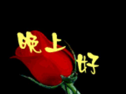 v2-bec3b426c6e2937417bf4207d5b679f5_r.jpg