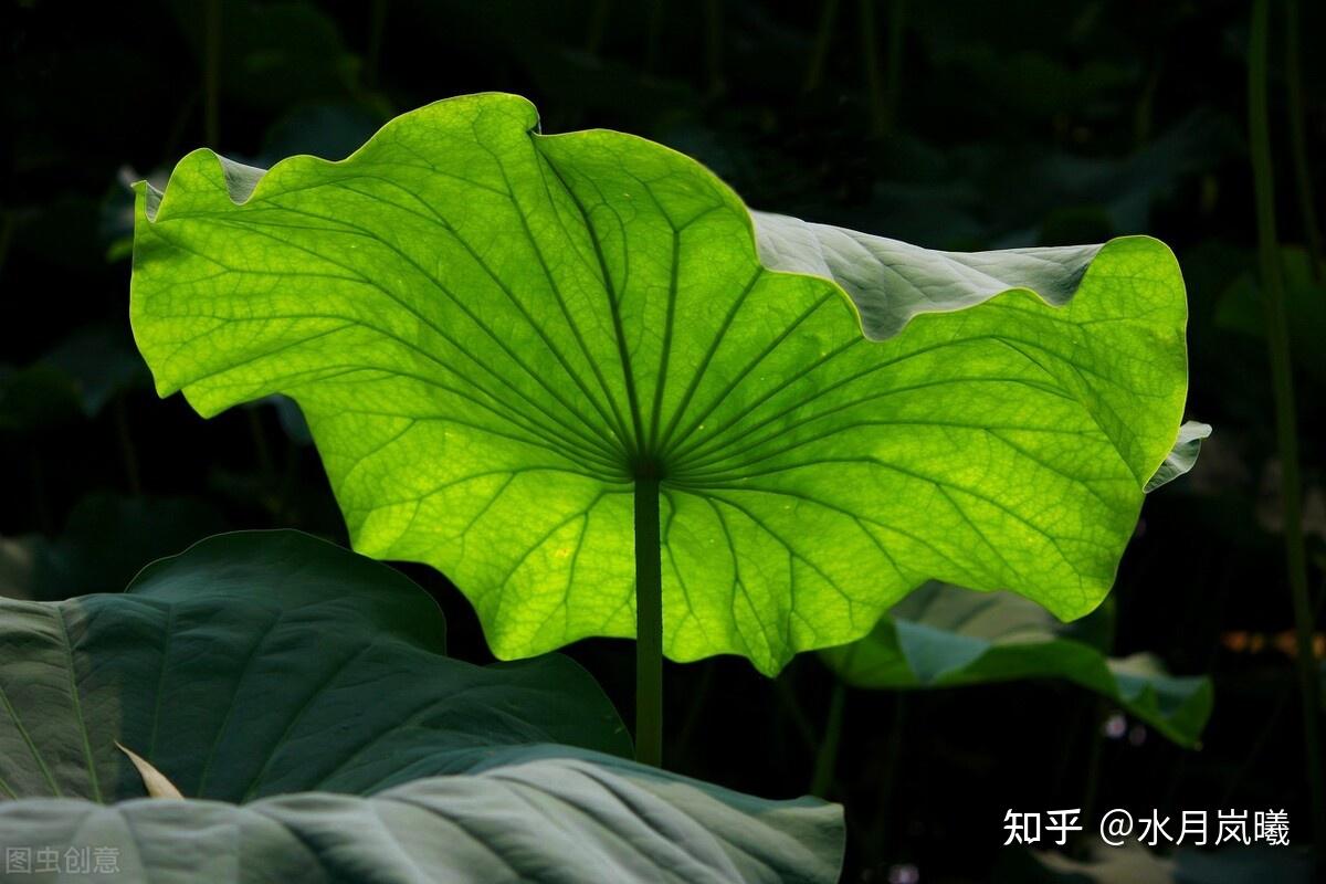 寂寂河山,悠悠千年,時光依舊悠閒,端坐歲月彼岸.