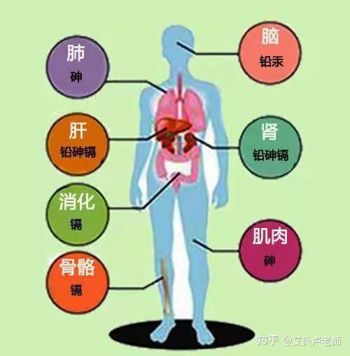 上熱下寒心腎不交簡單三個調養法疏通淤堵調和氣血平衡陰陽