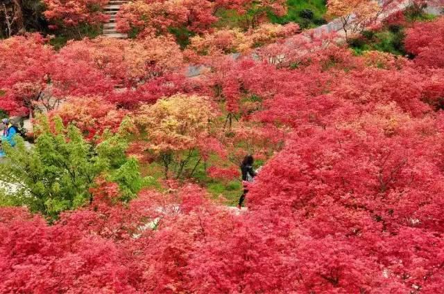 成德同城化带来了什么?从彭州耍到什邡,今后只要半个小时!