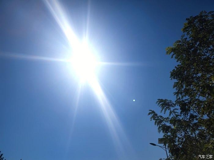 风和日丽,晴空万里,与欧拉黑猫共享休闲时光,记录美好生活