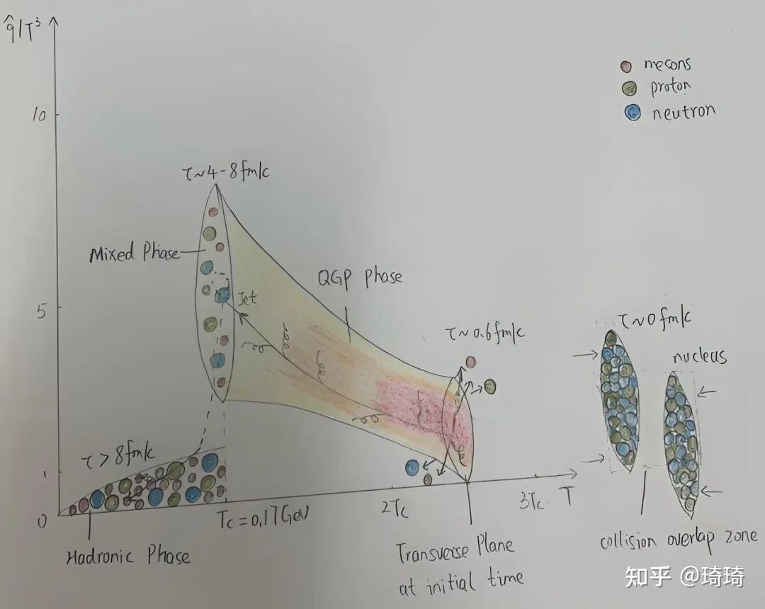 中国科学家对高能碰撞研究揭示了夸克-胶子等离子体有了新见解 - 知乎