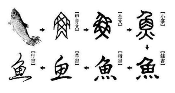 新字丨汉字之美 传承中华 知乎