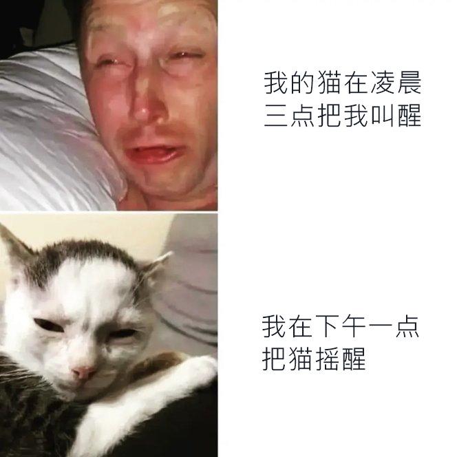 meme梗图③(无水印自取) - 知乎