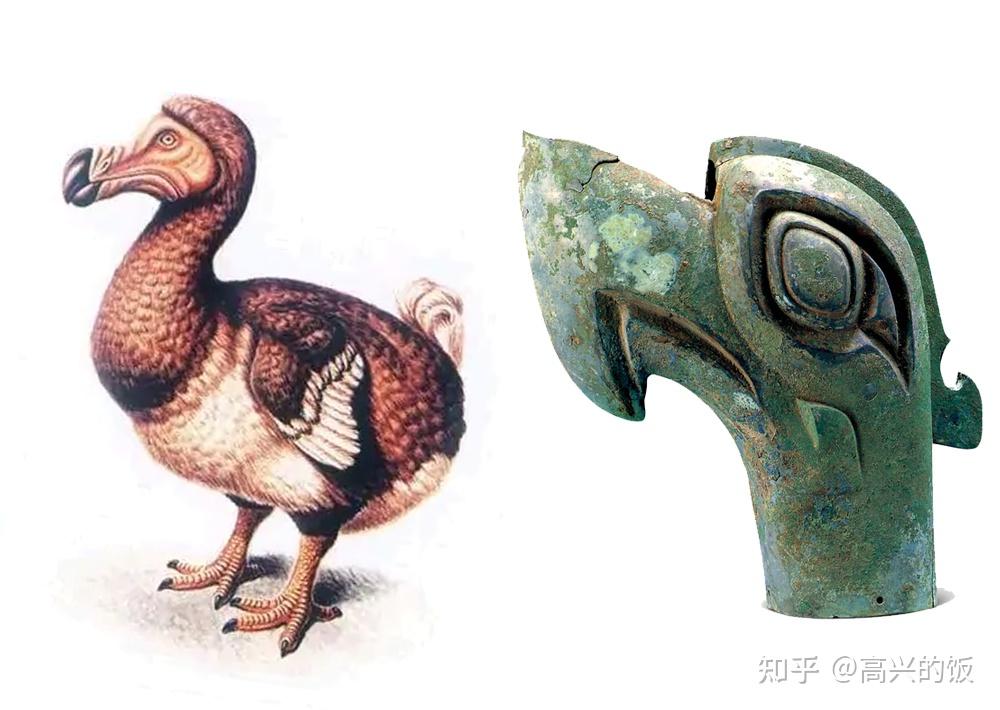 2,三星堆青铜大鸟头是古代可食用的"禽类"?