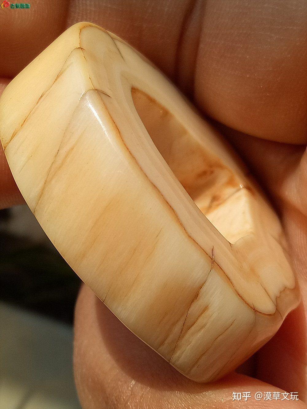 独角鲸牙一根值多少钱?目前市场价格详解 - 知乎