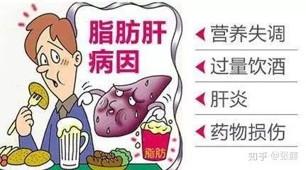 v2-bf097a108e1e6278dd9b97de2a5bbf39_r.jpg