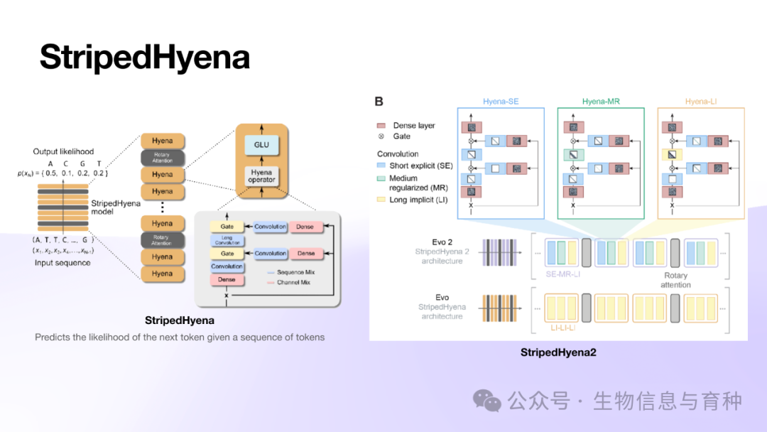 《Evo2: 生命科学基础大模型》报告PPT - 知乎