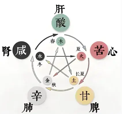五行与五脏、五味、五感、五情、五色、五龄、五音、五方、五德、五数的对应关系是怎样的?(经典文化) - 知乎