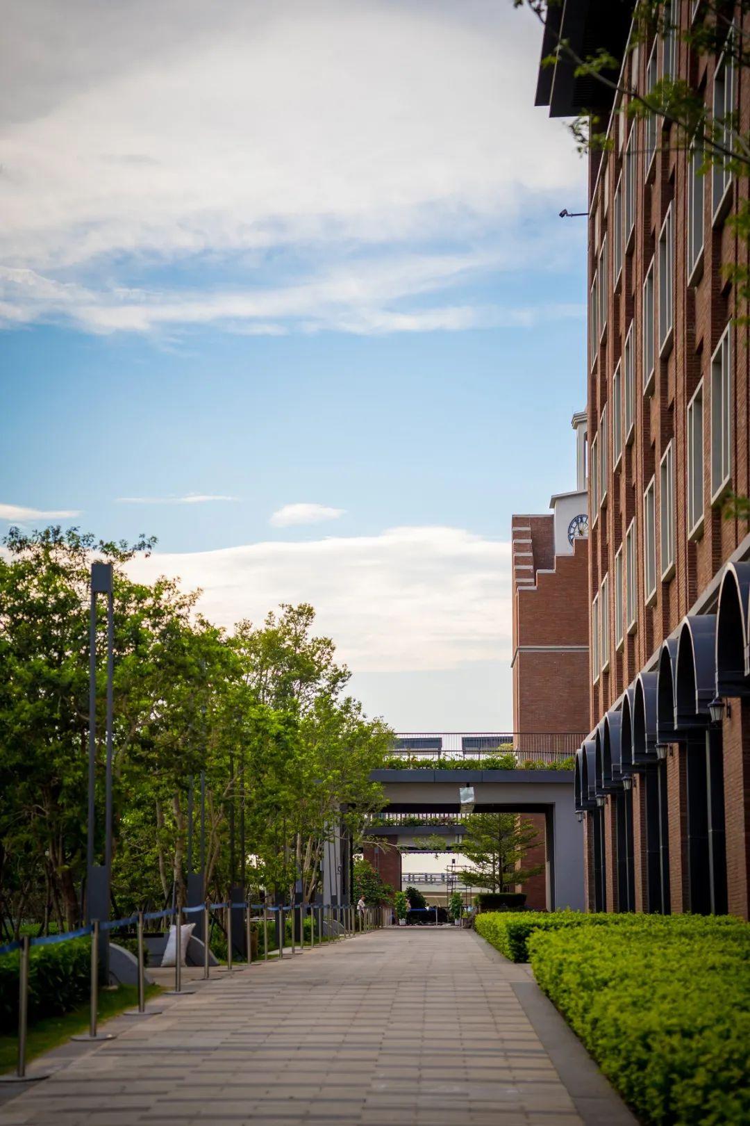 备受关注的深圳哈罗礼德学校什么时候开学