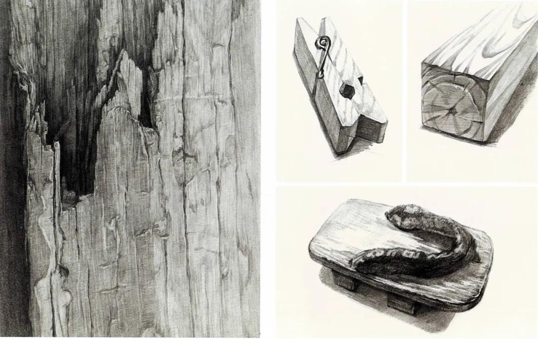 木头纹理素描图片