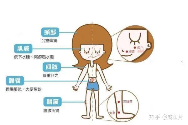百病湿为先,有一味中成药,可以排三焦湿热,三焦一通,浑身轻松! - 知乎
