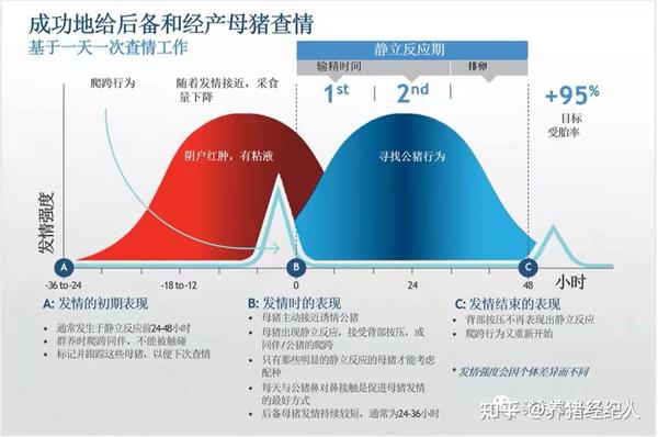 了解母猪的发情迹象及查情要点 - 知乎
