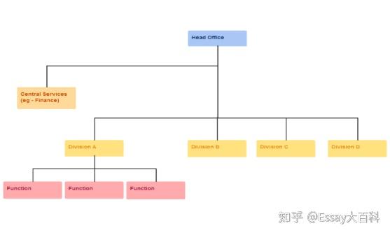 组织结构与不同类型的结构(中英文双语) - 知乎