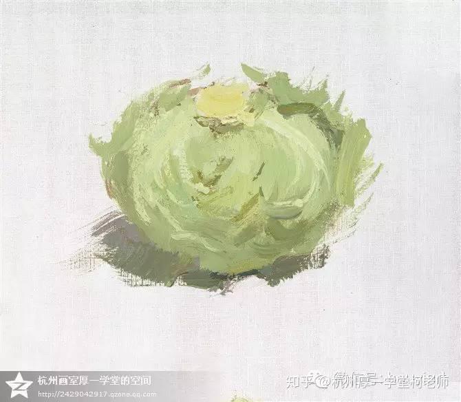 色彩单个卷心菜卷心菜色彩单个卷心菜卷心菜梨的步奏图单个色彩梨的