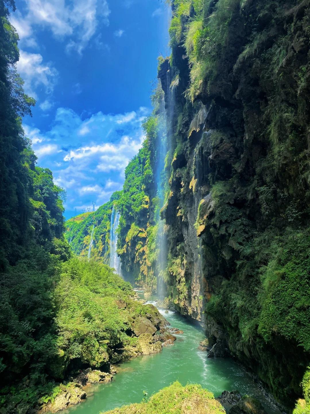 广东人去贵州旅游门票免费我看谁不去贵州旅游