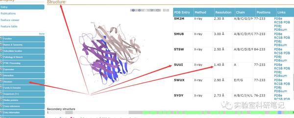 采用PyRx-Vina, DS和PyMol进行对接和分析结果 - 知乎