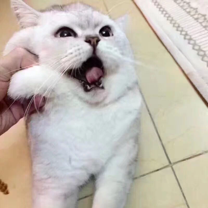 高原反应是一种什么感受?