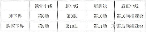 肺下界的体表投影:锁骨中线处与第6肋相交;腋中线与第8肋相交;肩胛线