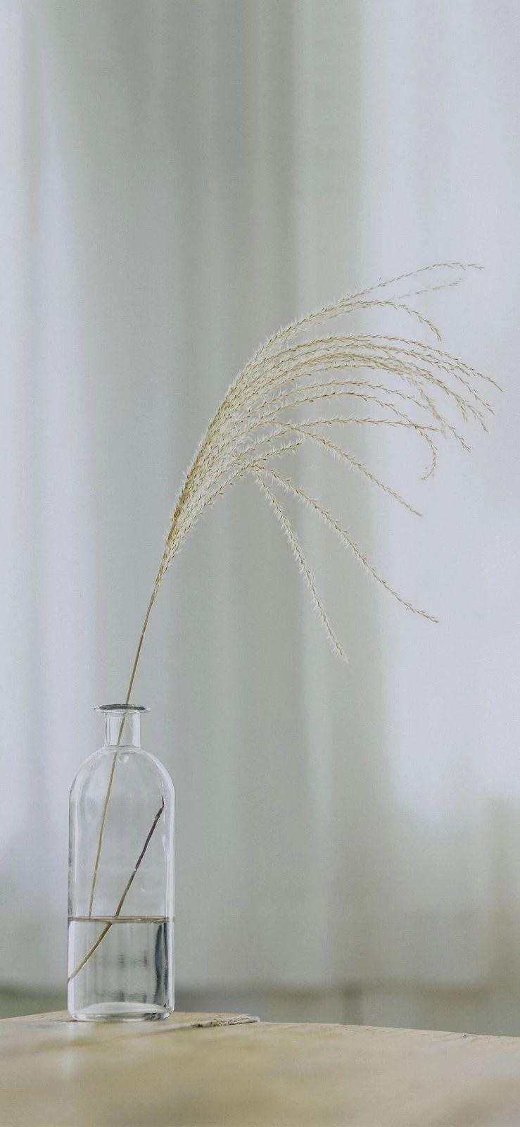 翻了200多张壁纸,最后精选出的干净素雅【白色壁纸】05