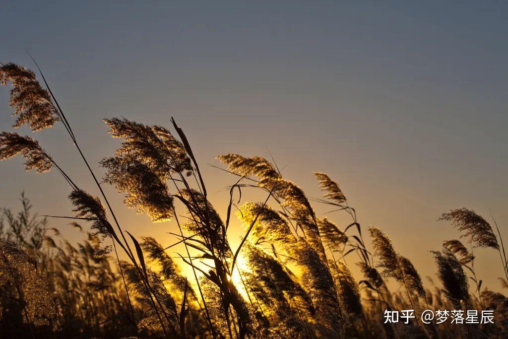 再一起吹晚风吧 - 知乎