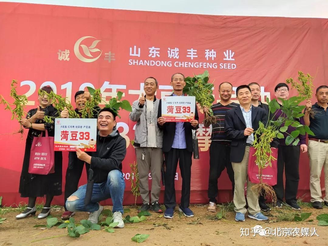 菏豆33号助力中国大豆振兴
