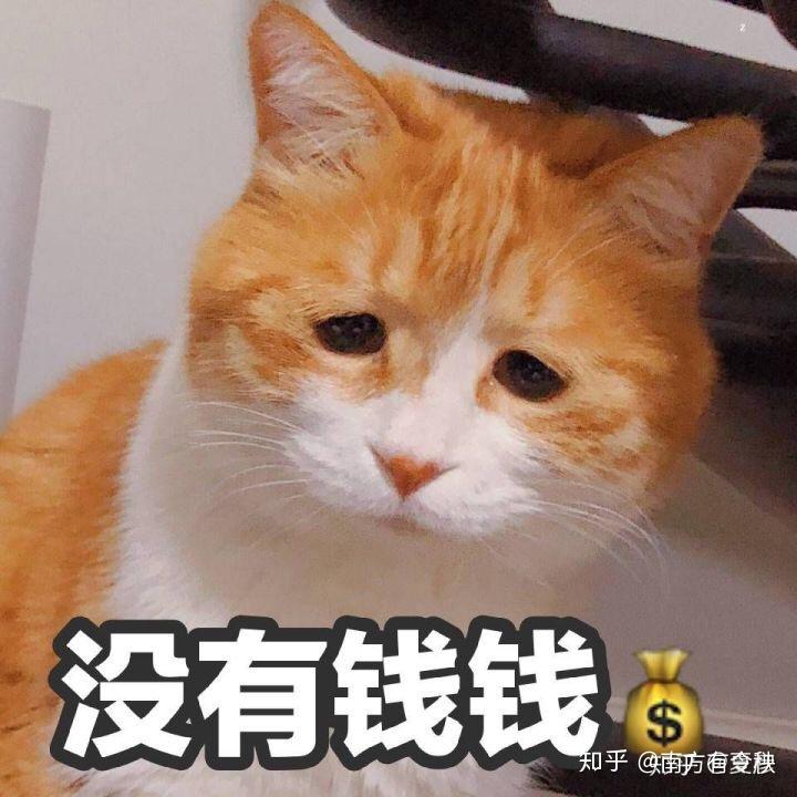 本人高一女学生,想变白,请问各位有没有必要用