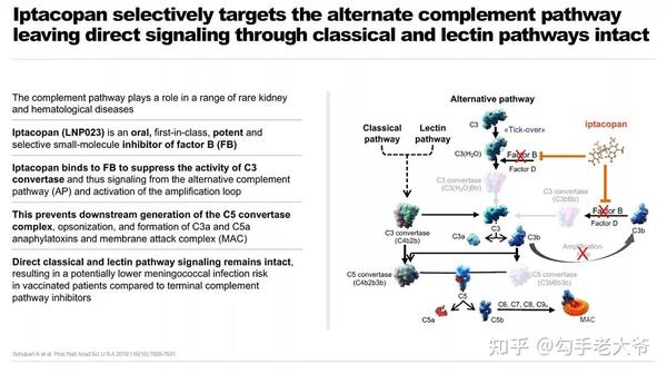 FDA批准！Fabhalta® （iptacopan）诺华首个PNH口服补体单药疗法上市 - 知乎