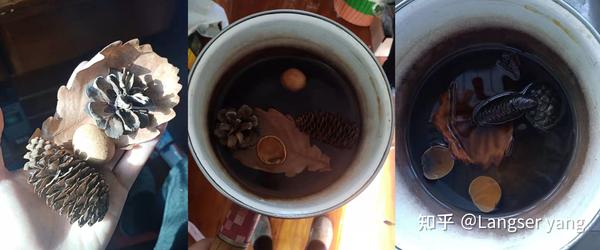 短鲷 短鲷缸_短鲷缸铺泥_短鲷缸布置