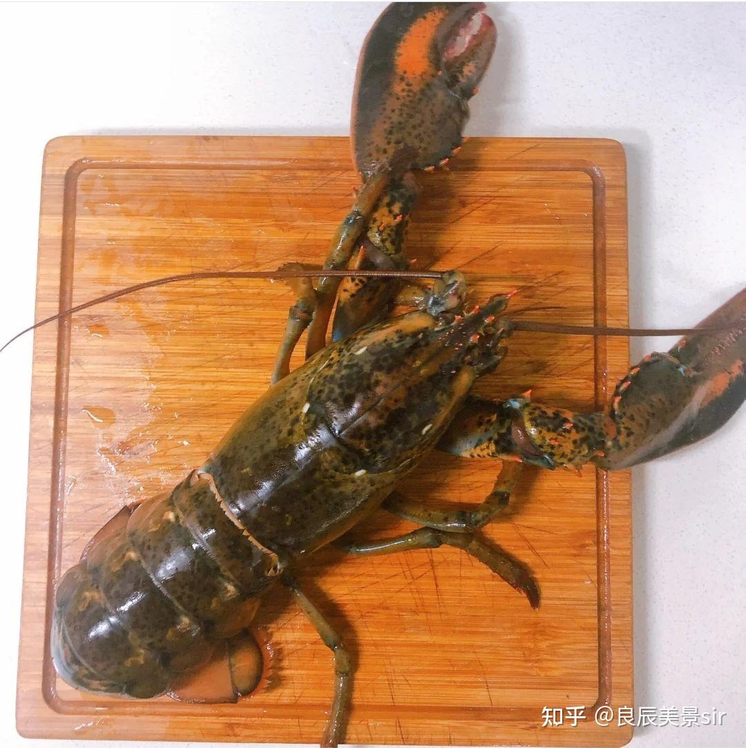 波龙到底有多好吃?经常看到许多美食博主朴实无华的吃着波龙虾尾 就想问问有多嫩！?