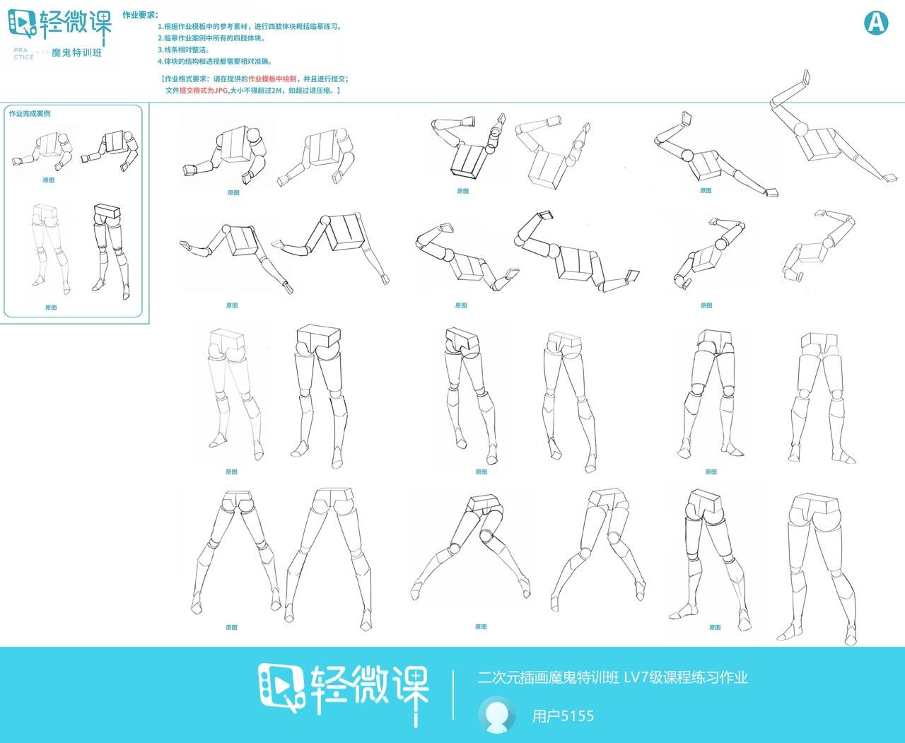 零基础如何学习画漫画，学画动漫人物教程 - 知乎