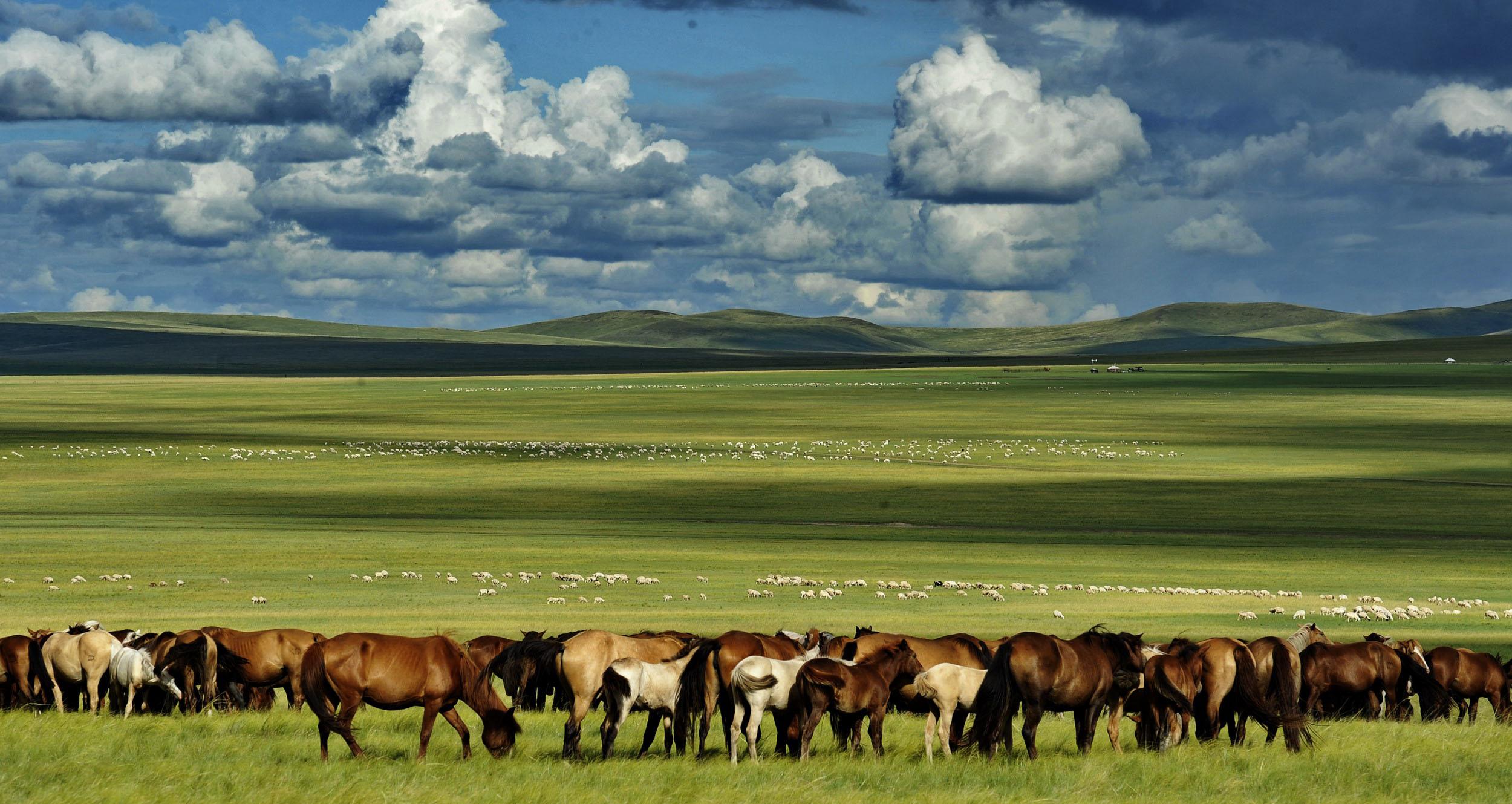 重磅|2019内蒙古冬季十大精品线路 带你玩转整个冬天-新闻中心-内蒙古新闻网