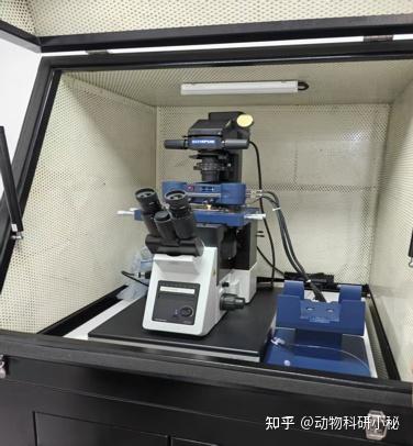 原子力显微镜AFM表征核心:解锁纳米检测 4大痛点,顶刊数据一步到位 - 知乎