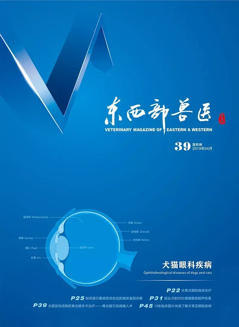 兽医学习分享丨爱德士sdma病例分析scarlet