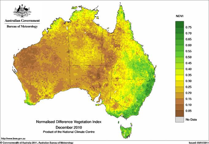 澳大利亚森林分布图图片