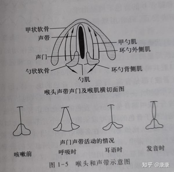 全网最全的语音概说知识点总结,必看!必看! - 知乎