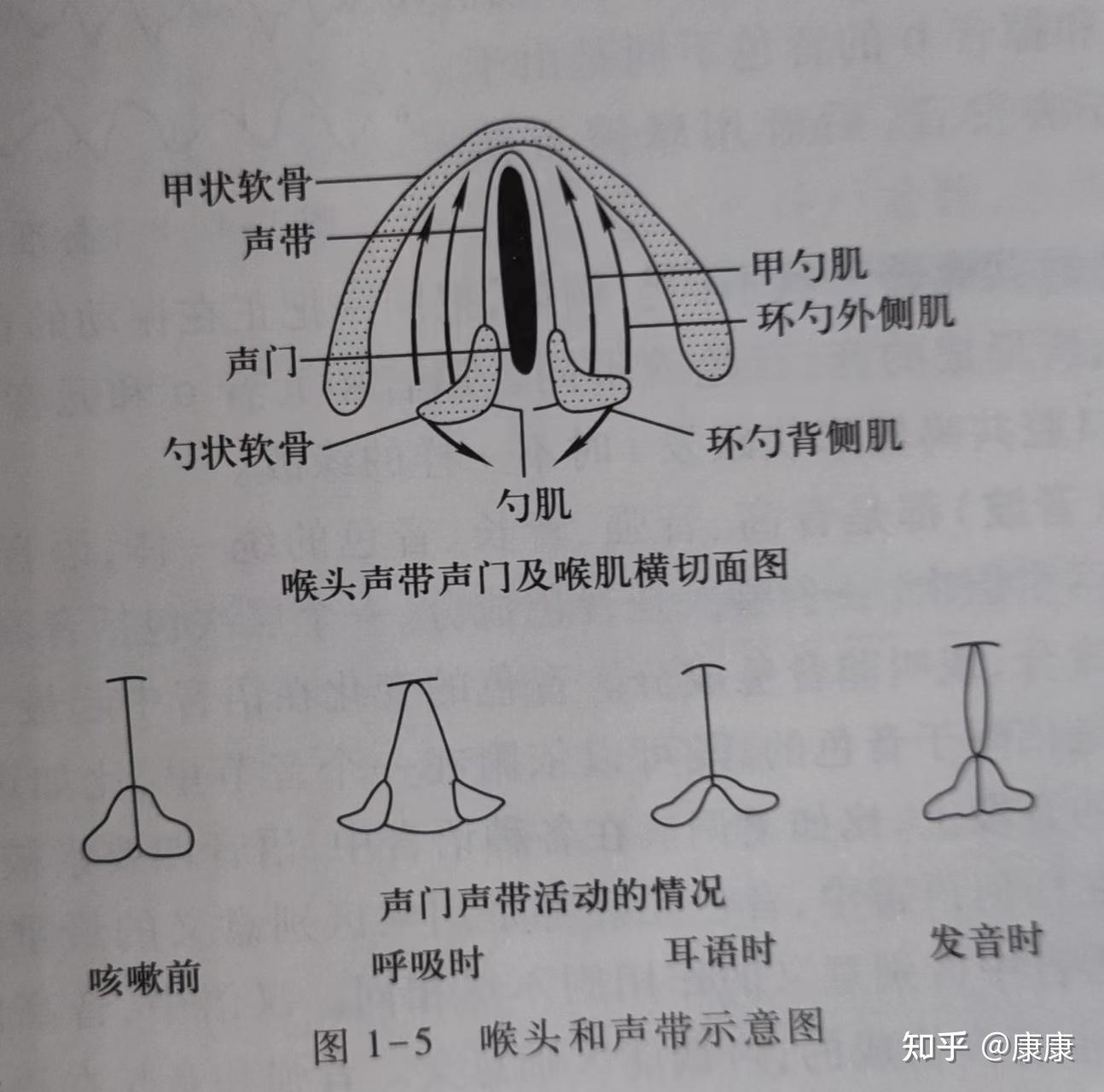 全网最全的语音概说知识点总结,必看!必看! - 知乎