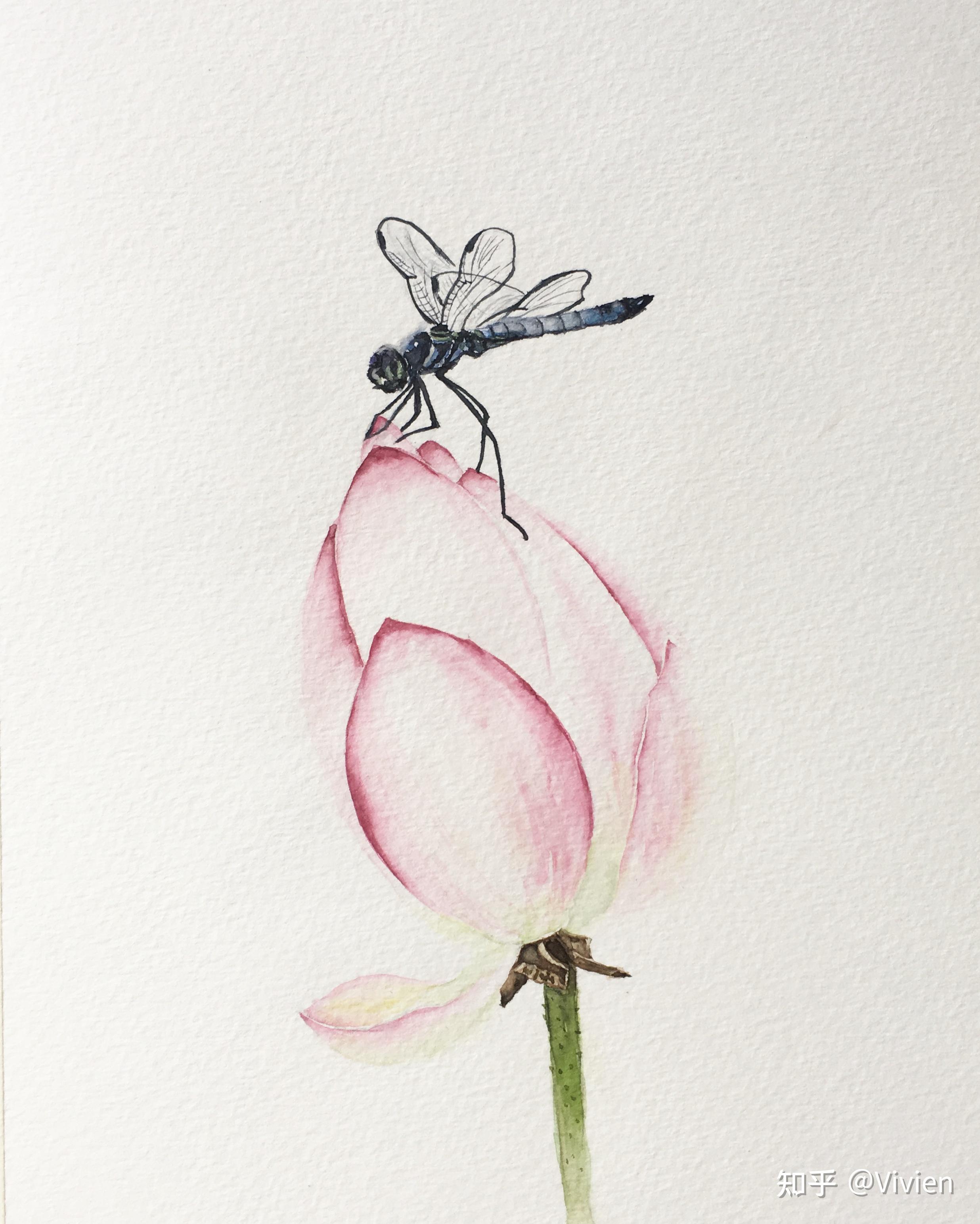 自学水彩画三年的总结