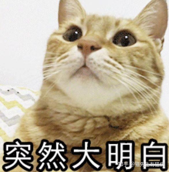 标准差与z分数的原理与实例介绍 | 心理统计学